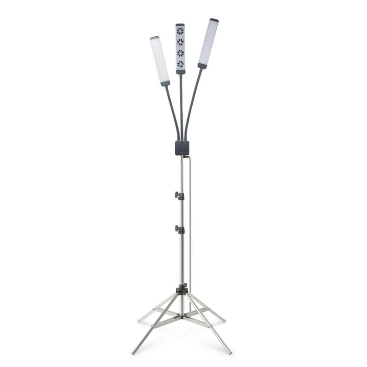 GLAMCOR AIRING LED Lighting Kit for Eyelash Extension and Beauty, Skincare, Filming, and Photography | Exhaust, dryer fan, and LED lighting in one - Amber Lash