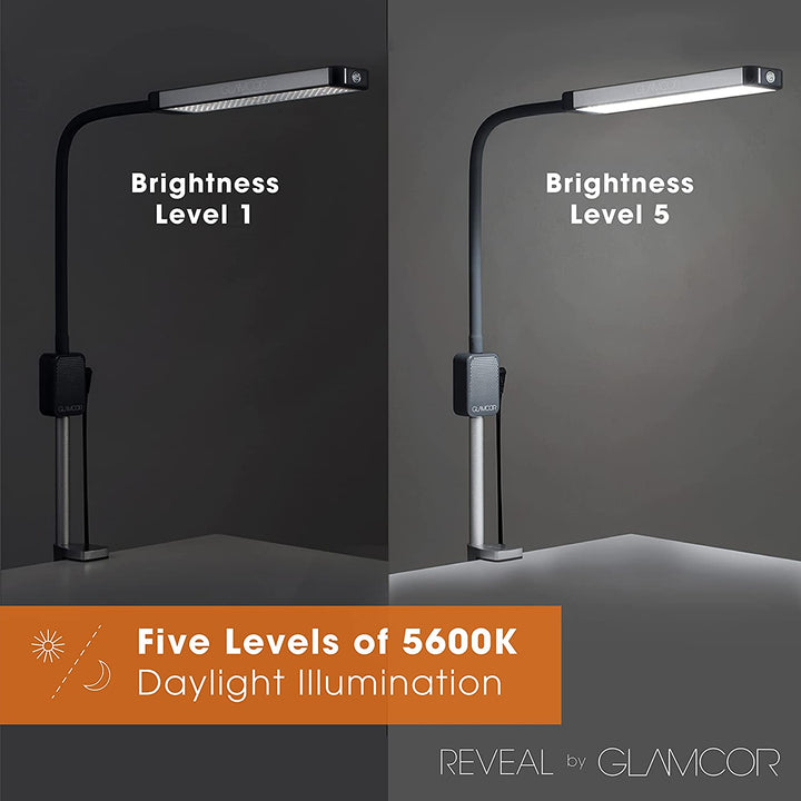 GLAMCOR Reveal Light Kit for Eyelash Extensions, Manicure and Pedicure, Beauty, Skincare Light with Table Mount Clamp - Amber Lash