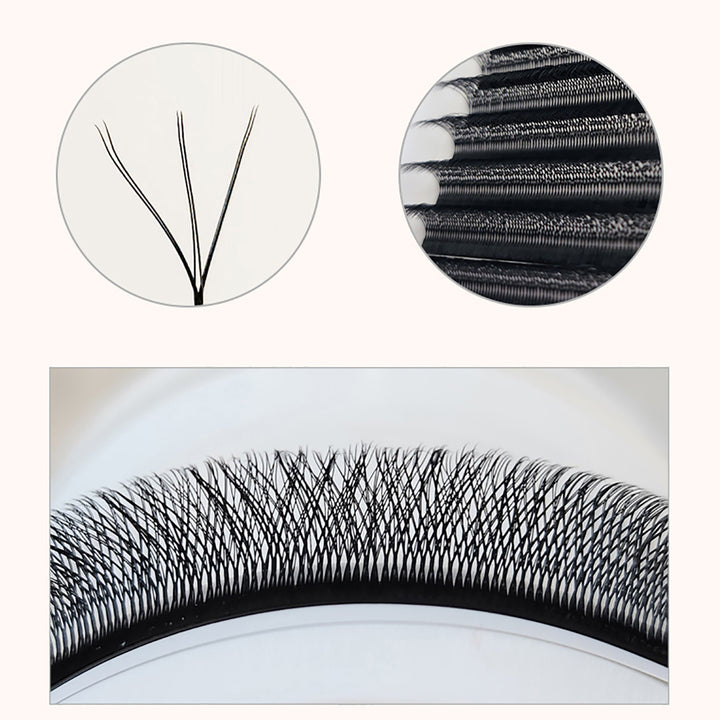 Amber Lash Double Volume WW Lash (Double W) - Amber Lash