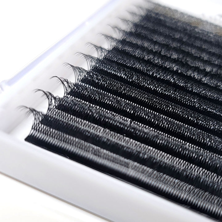 Amber Lash Double Volume WW Lash (Double W) - Amber Lash