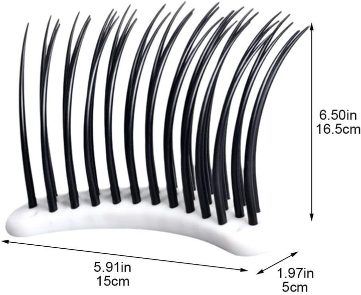 Large Eyelash Model Display Training Demonstration Tools