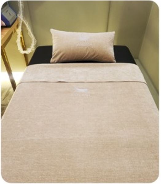 Bed Sheet & Pillow by Amber Lash - Amber Lash
